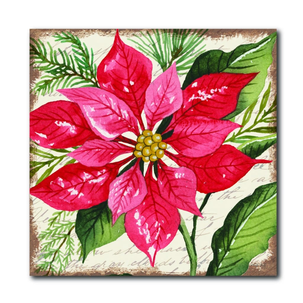 Red Poinsettia Gallery-Wrapped Canvas