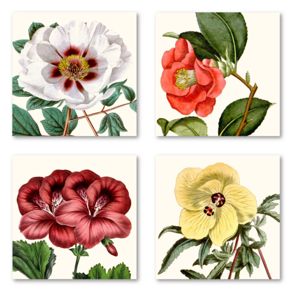 Botanical Kitchen Bliss ~ 4 Piece 12"Gallery-Wrapped Canvas Set - Image 2