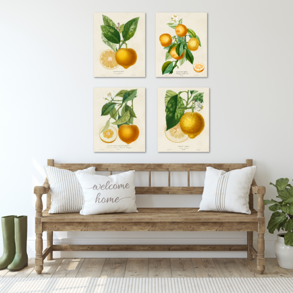 Botanical Citrus Bliss ~ 4 Piece 11x14"Gallery-Wrapped Canvas Set