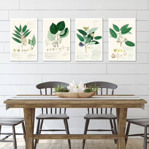 Botanical Greenery ~ 4 Piece 11x14"Gallery-Wrapped Canvas Set